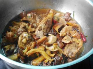 Braised Duck with Mushrooms recipe