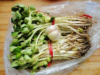 Delicious Home-learning Little Stir-fried Garlic Black Bean Sprouts recipe