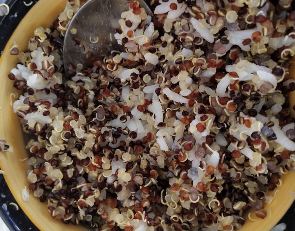 Tricolor Quinoa Rice Fort recipe