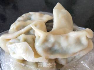 Fried Dumplings recipe