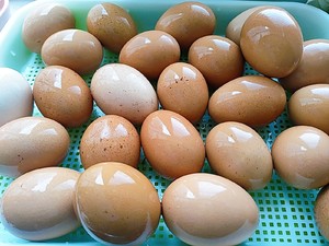 Two Ways to Make Homemade Salted Duck Eggs, Eggs, and Goose Eggs recipe