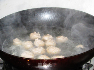 Nutritionally Balanced Meatballs Hot Pot recipe