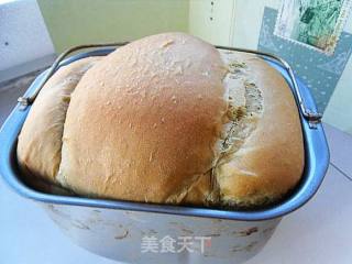 Matcha Bread recipe