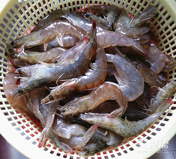 Brine Prawns recipe