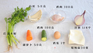 Wonton Skin Chicken Vegetable Box recipe