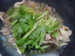 Summer Nutrition---fried Pork with Pocket Mushroom recipe