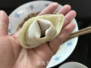 Pan Fried Wonton recipe