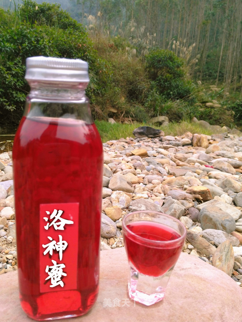 Self-brewed Roselle Honey Wine 30º recipe