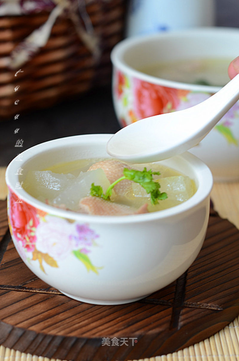 Winter Melon Duck Soup recipe