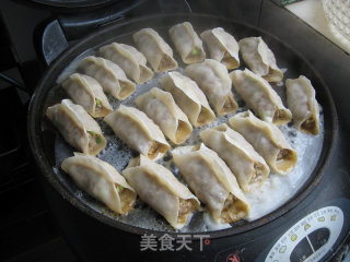 Pork and Scallion Pot Stickers recipe