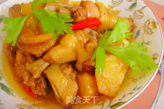 Spicy Potato Chicken---simple Stew in A Few Steps recipe