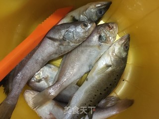 Home-style Braised Sea Fish recipe