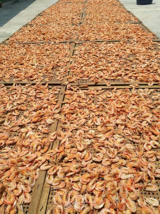 Traditional Dried Shrimp Production recipe