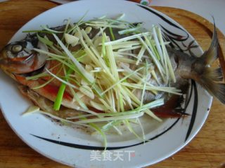 Steamed Red Pomfret recipe