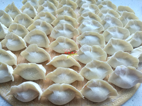 Beef and Cabbage Dumplings recipe