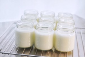 🥛0 Failure-rich and Smooth-brushable Yogurt (milk Version, Cheese Version, Milk Powder Version) recipe