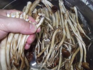 Tea Tree Mushroom Pork Soup recipe