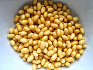 Soy Sauce recipe