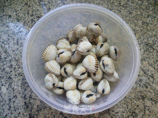 Blood Cockles recipe