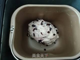 Blueberry Meal Buns recipe
