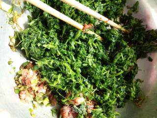 #春食野菜香#alfalfa Carrot Patties recipe