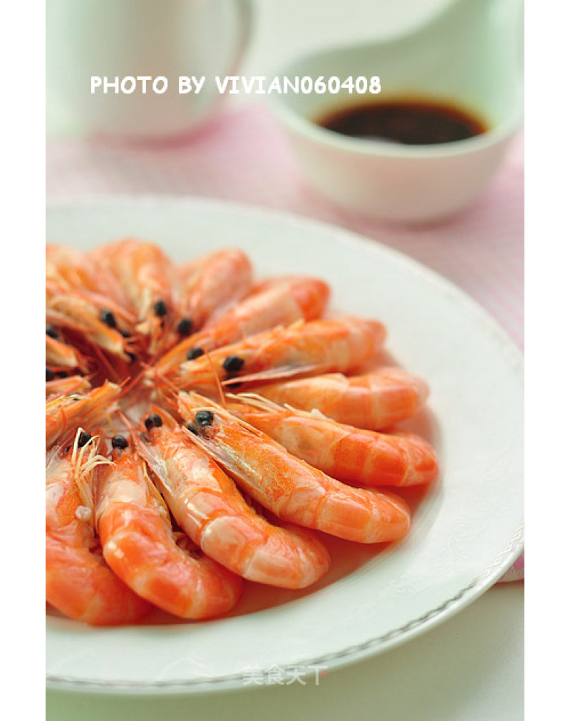 Brine Shrimp recipe