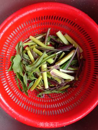 Stir-fried Red Cabbage Moss recipe