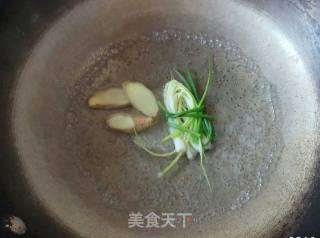 "home Cooking" Brine Shrimp recipe