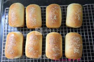 Honey Bean Meal Buns recipe