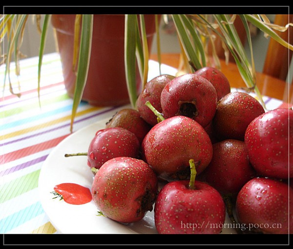 Sugar-coated Haws recipe