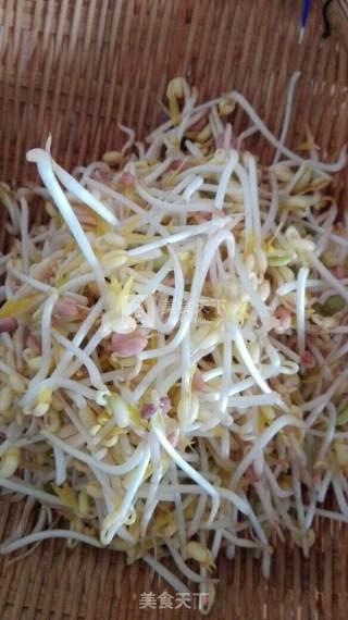 Spontaneous Mung Bean Sprouts recipe