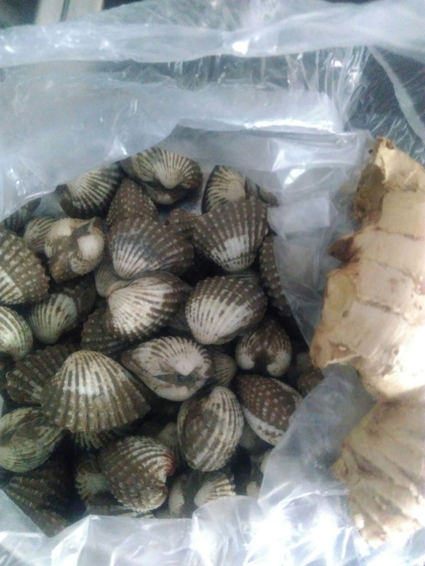 Boiled Blood Clam recipe