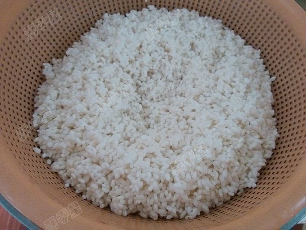 Homemade Sweet Fermented Rice recipe