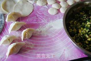 Dumplings with Leek and Pleurotus Eryngii Stuffing recipe