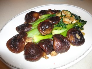 Braised Rapeseed with Mushrooms recipe