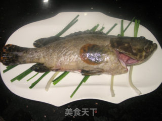 Steamed Sea Fresh recipe