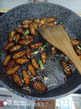 Dry Cocoon Pupae recipe