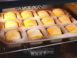 Whole Wheat Pumpkin Rolls recipe