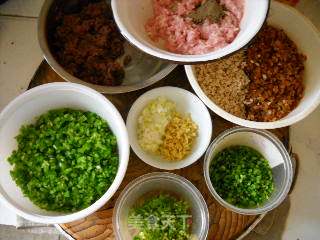 Steamed Dumplings with Colorful Beef Filling recipe