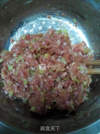 Pork Scallion Wonton recipe