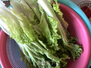 Little Red Oil Mixed Lettuce recipe