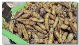 Salted Edamame recipe