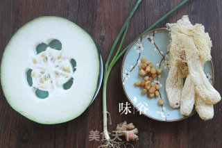 Bamboo Fungus, Scallop and Winter Melon Soup recipe