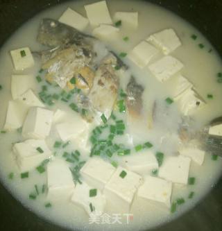 Crucian Tofu Soup recipe