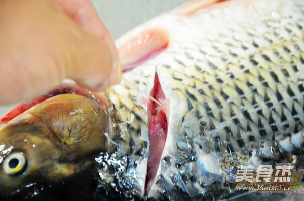 Boiled Oil Splashed Carp recipe