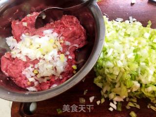 Beef Leek Dumplings recipe