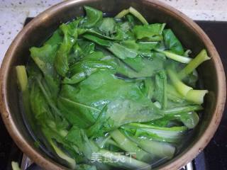 Stir-fried Vermicelli with Organic Cabbage recipe
