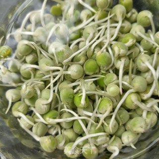 Asparagus, Pea and Shrimp Salad recipe