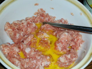 Fungus, Vegetables and Meatball Soup recipe