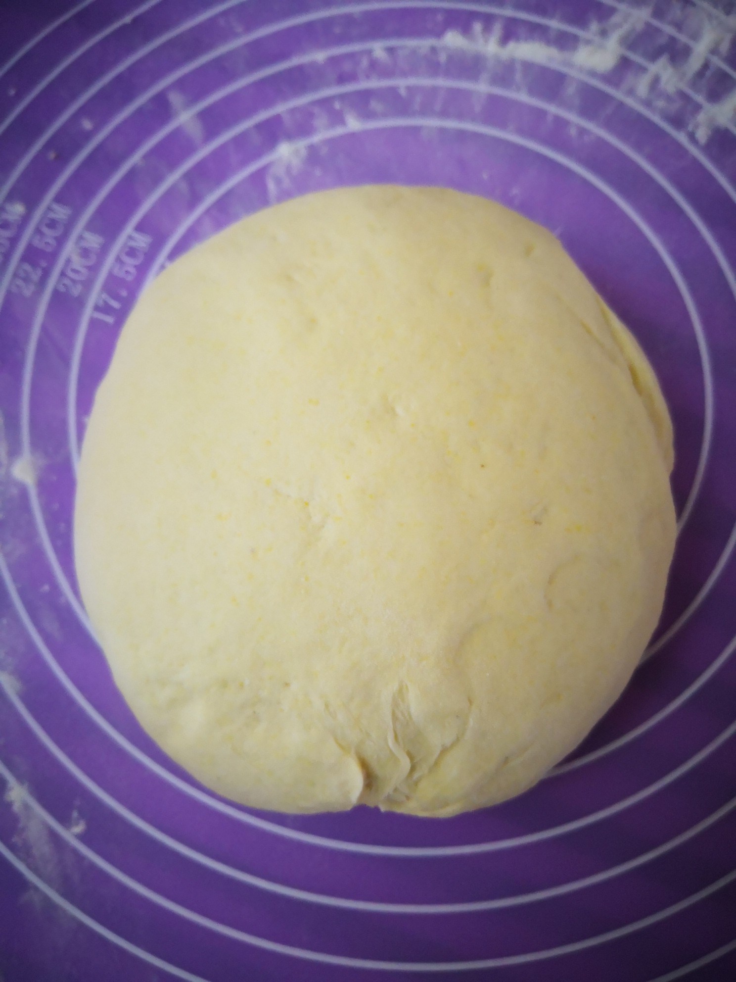 Coconut Mung Bean Paste Bun recipe